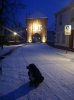 ImageUploadedByTapatalk1363066228.319600.jpg