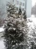 winter.jpg