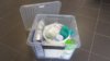 HygiBox.jpg