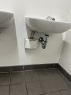 IMG_2225.jpeg